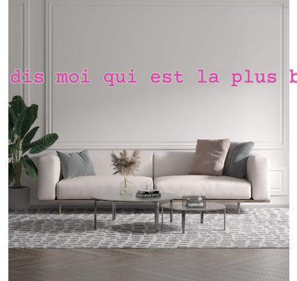 Custom text: Miroir dis moi qui est la plus belle ?